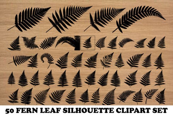 Elevate Designs with 50 Fern Silhouettes