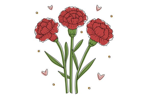 Evaluating Three Red Carnations with Black Contour for Design Projects