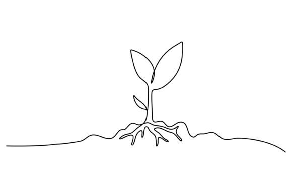 Integrating Continuous Line Plant Growth Illustrations into Professional Creative Workflows