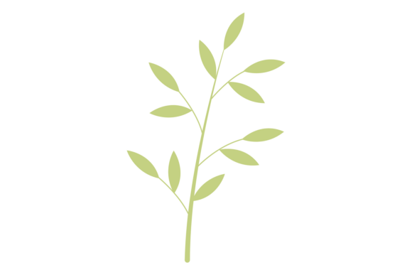 Integrating Green Leaves. Branch with Leaf. Botanica into Professional Creative Workflows