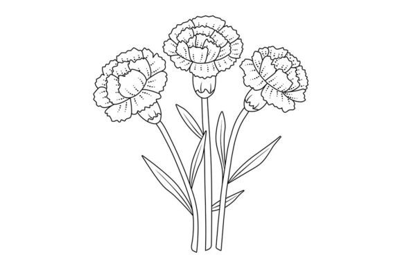 Unlocking Creativity with Three Black Line Carnations